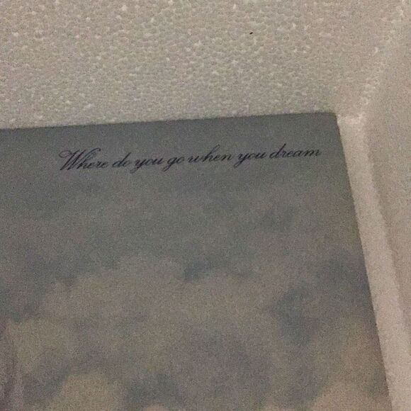 Album Ann Murray where do you go when you dream ￼￼ - Picture 3 of 8